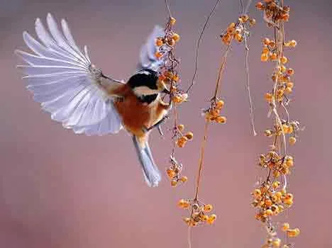 Foto di homecare119 da Pixabay