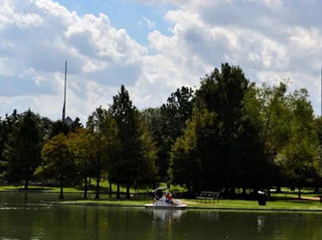 Foto di F. Muhammad da Pixabay