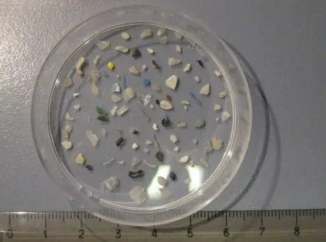 Micro e nanoplastiche: ARPAT al seminario dell’associazione Biologi Insieme per il Territorio