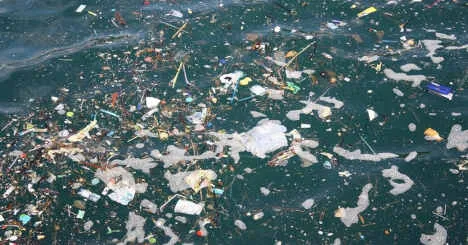 Contaminazione in ambiente marino