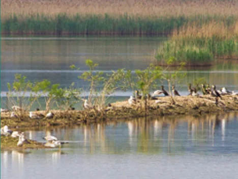 Report sul sistema depurativo della Valdinievole