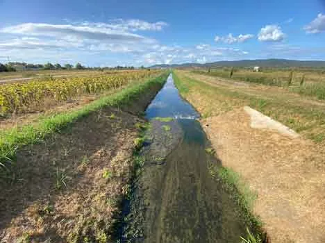Il fosso Corniaccia il 24 agosto presso Ponte di Ferro