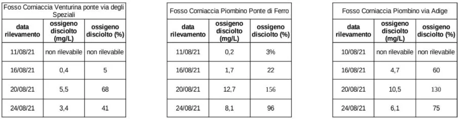 monitoraggio corniaccia agosto.jpg