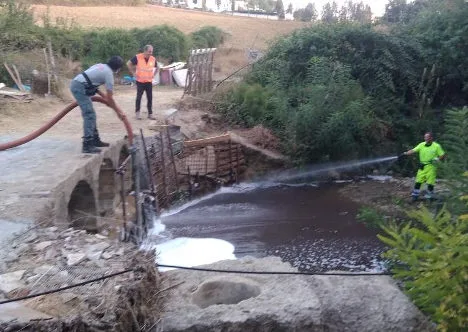 Risultati dei campioni analizzati a seguito di incendio Eco-Gest a Poggibonsi