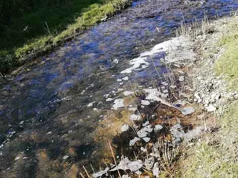 Schiume nel Fiume Staggia a Poggibonsi