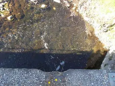 Schiume sul Torrente Resco a Reggello (FI)