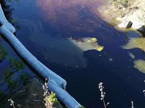 Sversamento nel fosso Capannone a Livorno da una condotta della Raffineria Eni