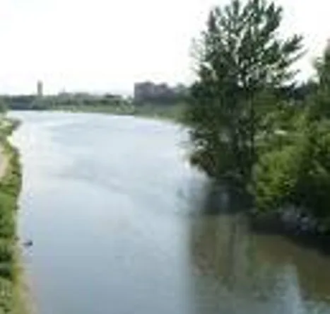 Fiume Bisenzio: intervento di ARPAT