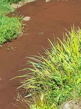 Colorazione rossastra del Rio Guappero – Lucca