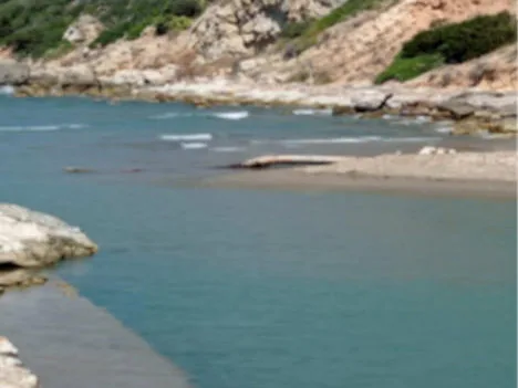 Grosseto: sopralluogo e campionamento alla foce del torrente Osa