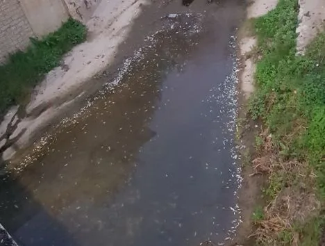 Intervento ARPAT sul Rio Maggiore a Livorno