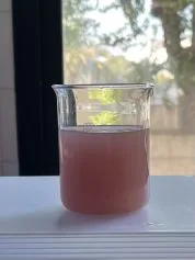 campione acqua prelevato dal fosso Cervia