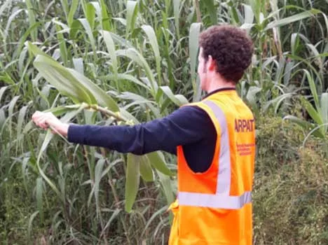 Incendio capannone a Portoferraio, Isola d’Elba: l’intervento di ARPAT