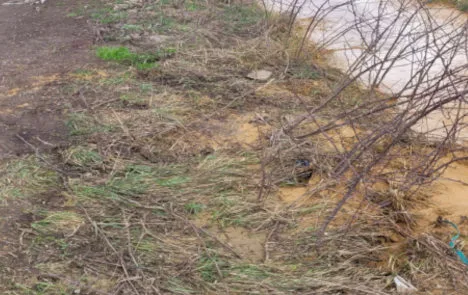 particolare del materiale semi solido abbandonato vicino al corso d'acqua