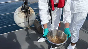 idrocarburi campionati