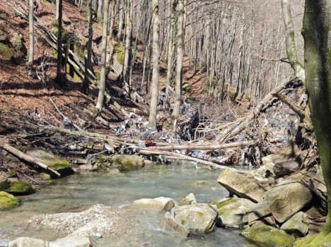 Torrente Rovigo lato monte idraulico della frana