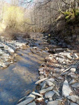 punto a monte frana torrente Rovigo