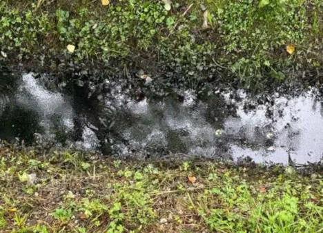 acque di colorazione anomala