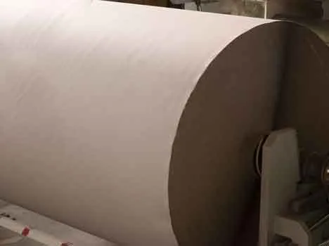 Comparto cartario della Piana di Lucca