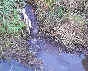 Particolare dello sversamento di gasolio nel fosso Dogaia e Quadrelli