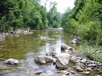 acque superficiali (fiume)