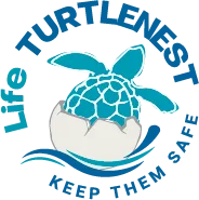 Logo Life Turtlenest