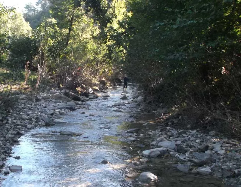 Monitoraggio acque superficiali