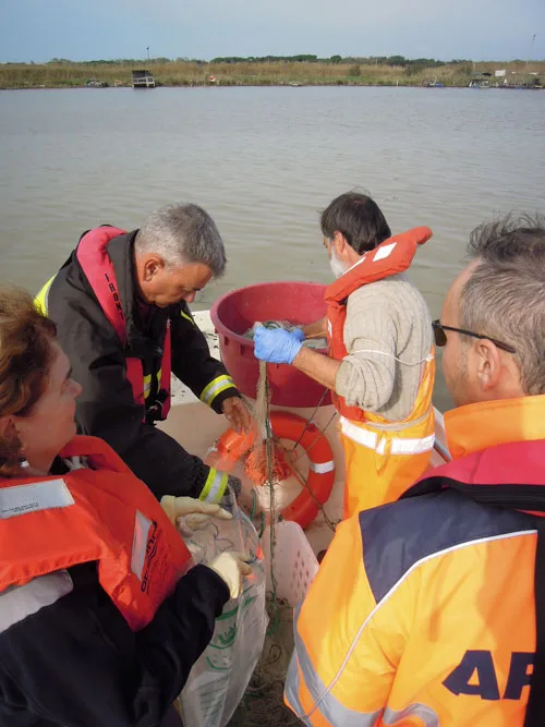 Campionamento pesce presso lo scolmatore