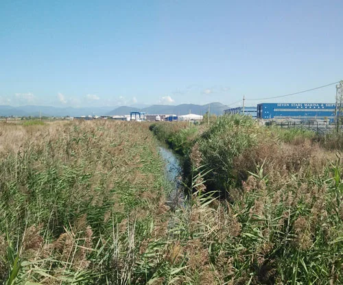 Fosso di collegamento tra il depuratore e il cana&ograve;le dei Navicelli