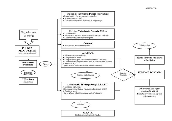 Schema competenze dei diversi enti per le morie di pesci
