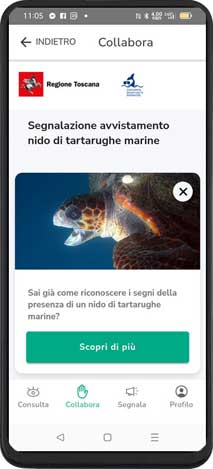 Screenshoot della funzione per segnalare nidi di tartaruga marina