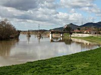Un bilancio del monitoraggio estivo sul fiume Arno