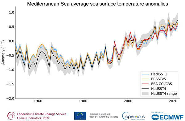 temperatura Mar Mediterraneo