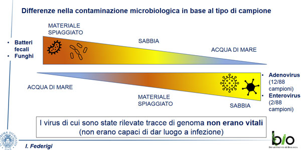 contaminazione microbiologica - risultati