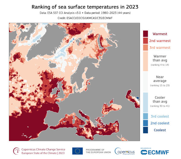 grafico temperature superficie marina 2023
