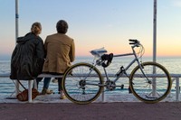 Biciclette e coppia