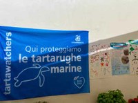 Sulle tracce delle tartarughe marine al Lido di Camaiore (LU)