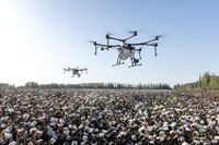 drone su un campo di cotone