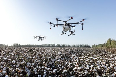 drone su un campo di cotone