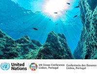 Appello dei leader mondiali per salvare l'oceano