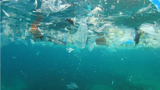 plastica nel mare