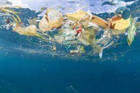 SalvaMare: misure essenziali per prevenire il fenomeno dei rifiuti in mare e nelle acque interne