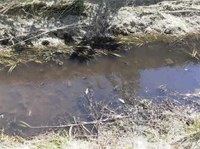 Calenzano (FI): intervento di ARPAT sul torrente Chiosina