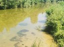 Depositi fangosi nei corsi d’acqua Sieve, Anguidola e Rimotoso: approfondimenti tecnici di ARPAT