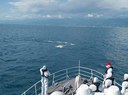 Simulato sversamento in mare al largo della costa versiliese