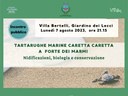 I nidi di tartarughe marine Caretta caretta a Forte dei Marmi (LU)