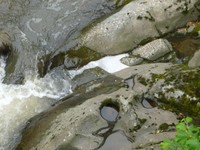 Pistoia-schiume nel torrente Pescia