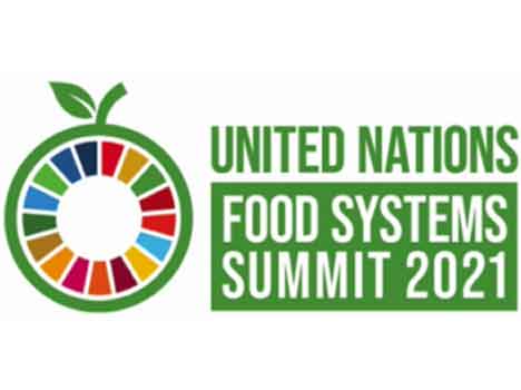 Trasformare i sistemi alimentari per raggiungere tutti gli obiettivi di sviluppo sostenibile