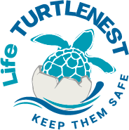 Logo Life Turtlenest
