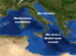 Sotto-regioni del bacino Mediterraneo